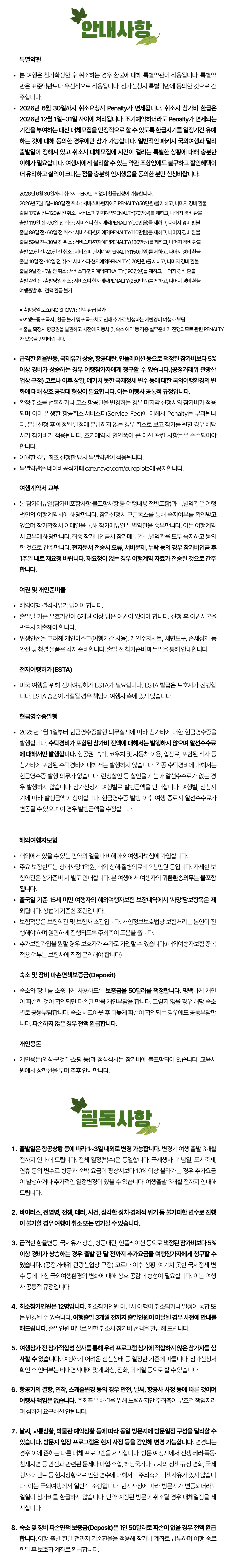 청소년 미국아이비캠프 8