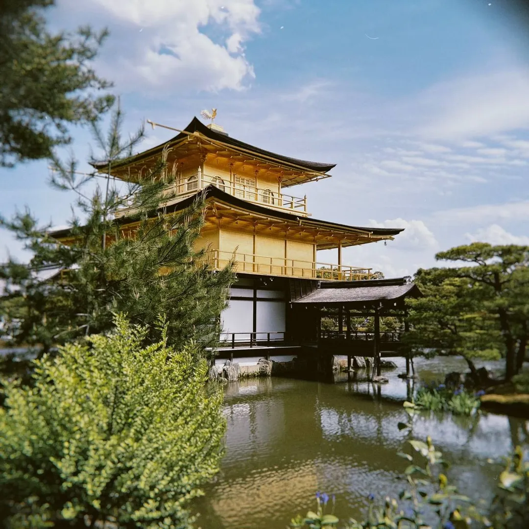 청소년 경제경영 일본여행 52