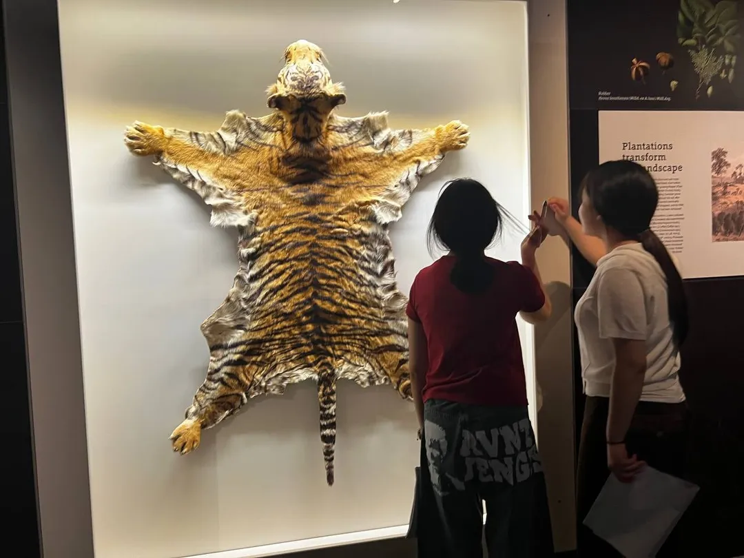 여름방학 청소년 홍콩/싱가포르 대학탐방 71