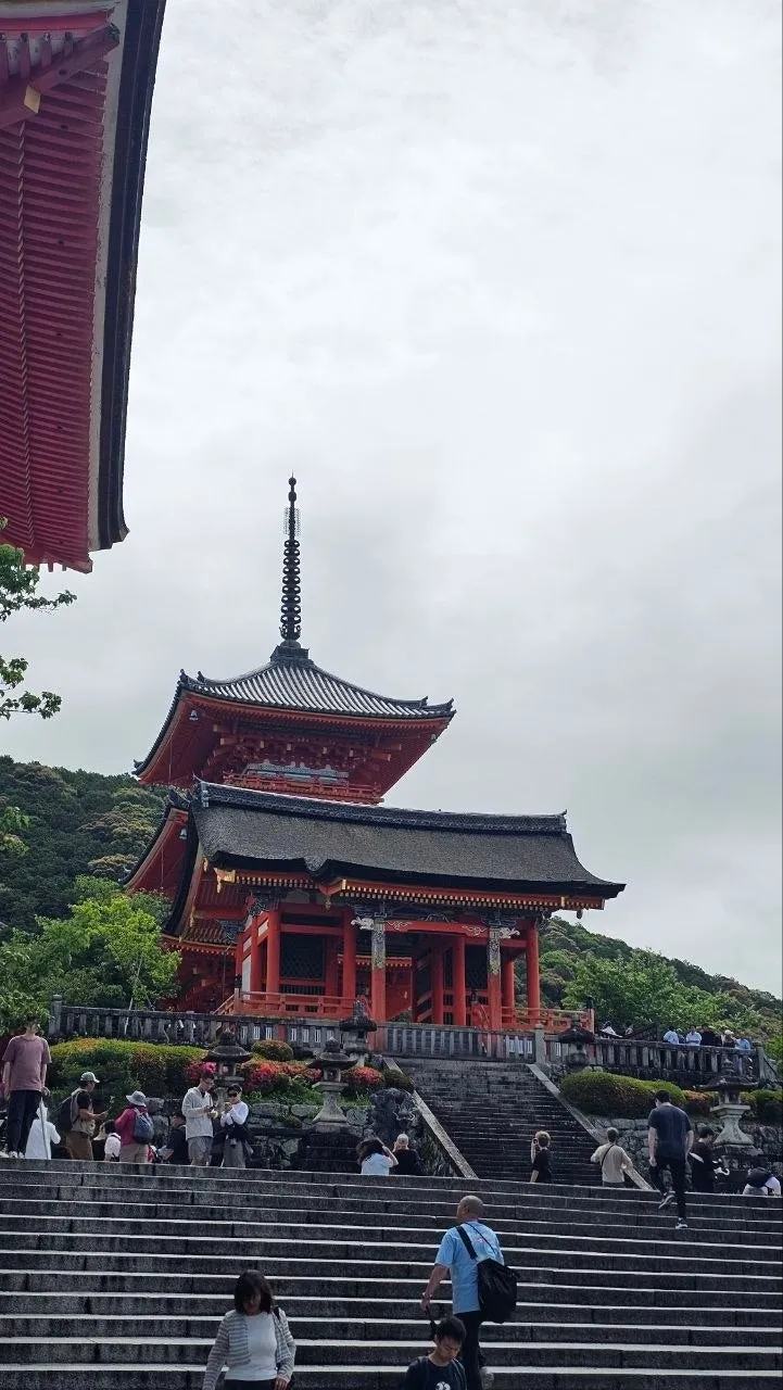 일본미식여행 46